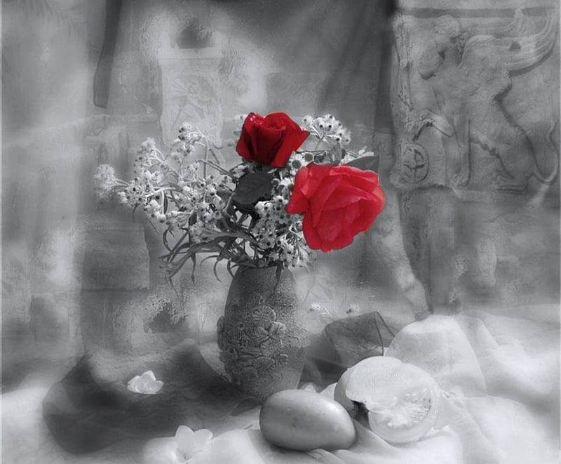 Don't let me down, vase, Rose, red, color, HD wallpaper