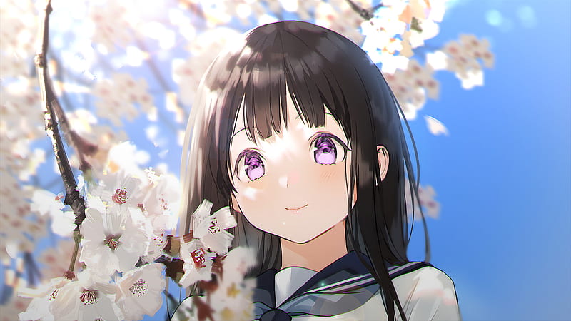 Anime, Hyouka, Black Hair, Cherry Blossom, Eru Chitanda, Purple Eyes, School Uniform, HD wallpaper