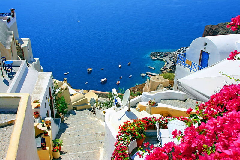 Santorini, mediterranean, shore, view, houses, travel, town, bonito, sea, Greece, water, summer, flowers, blue, HD wallpaper
