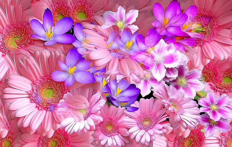 Flowers, crocus, texture, painting, digital, flower, gerbera, pictura, pink, blue, HD wallpaper