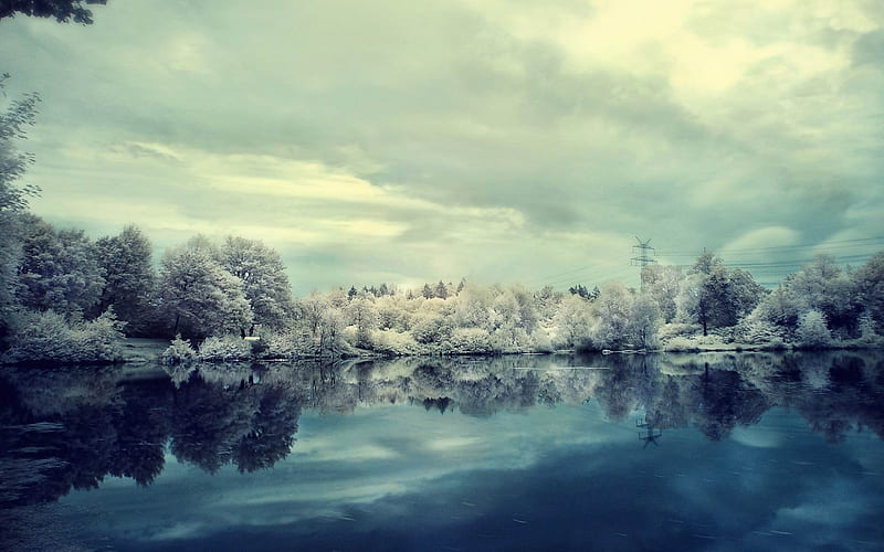 frozen trees surrounding a lake-amazing natural scenery, HD wallpaper