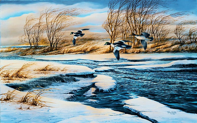 Drifting, snow, river, ducks, winter, artwork, painting, HD wallpaper