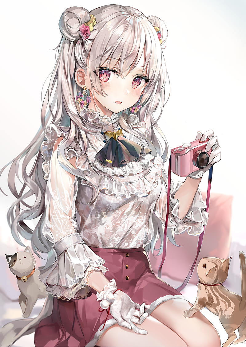 anime, anime girls, original characters, white hair, cats, camera, HD phone wallpaper