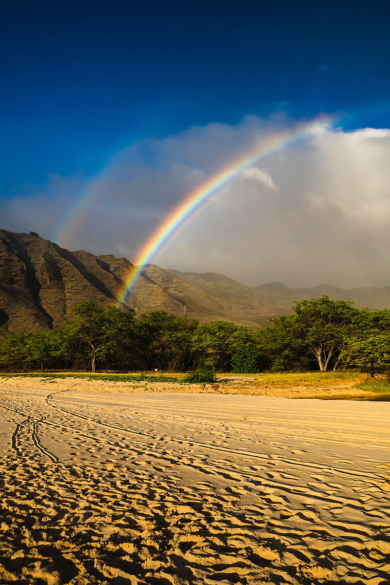 rainbow, beach, mountain, trees, sand, HD phone wallpaper