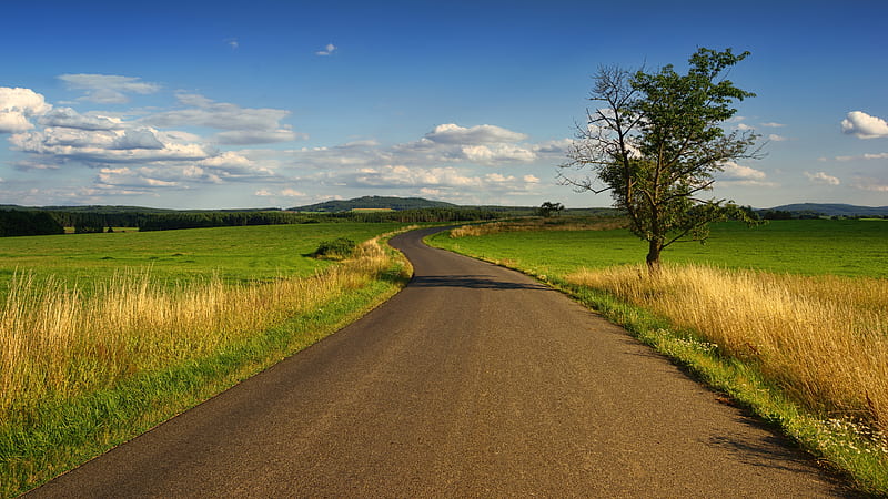 Country road, nature, road, field, rural, brown, weather, graphy, tree, calm, nice, U, HD wallpaper