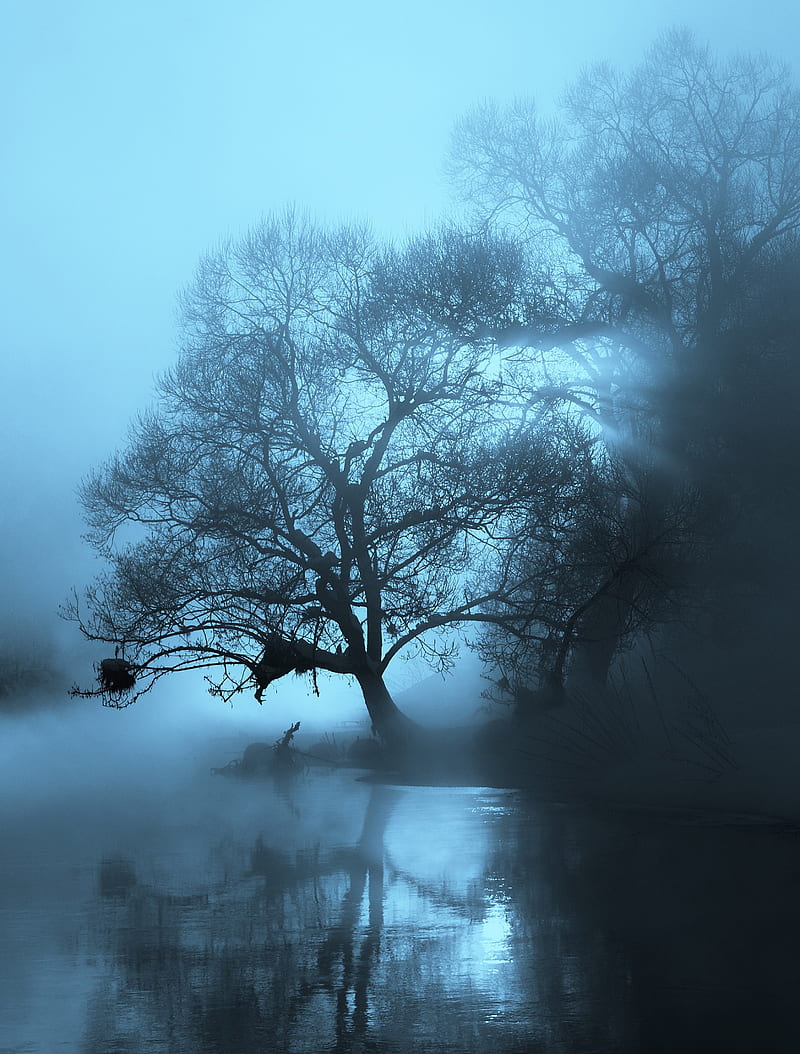 nature, water, trees, mist, portrait display, blue, river, HD phone wallpaper