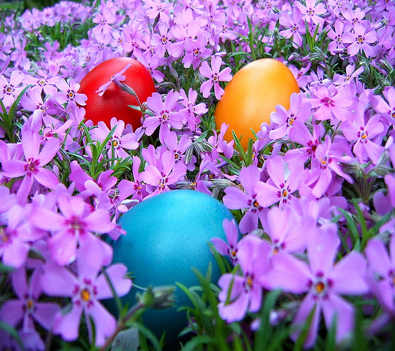 easter eggs, colors, easter, eggs, flowers, holiday, purple, spring, HD wallpaper