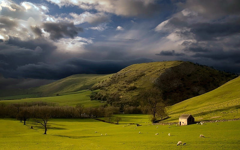 sheep meadow, hills, sheep, pasture, cabin, clouds, meadow, HD wallpaper