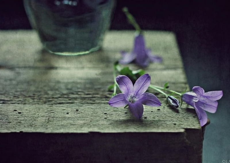 Melancholy, perfume, table, purple color, flowers, bonito, HD wallpaper |  Peakpx