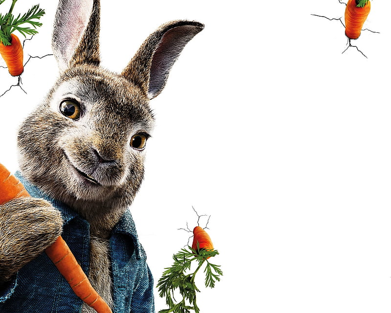 Peter Rabbit, Movie, 2018, Rabbit, Peter, HD wallpaper