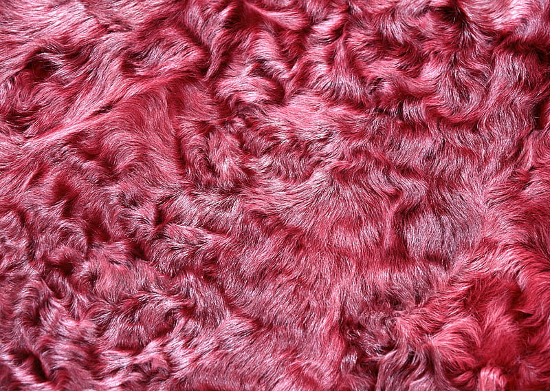 Texture, pink, fluffy, fur, HD wallpaper