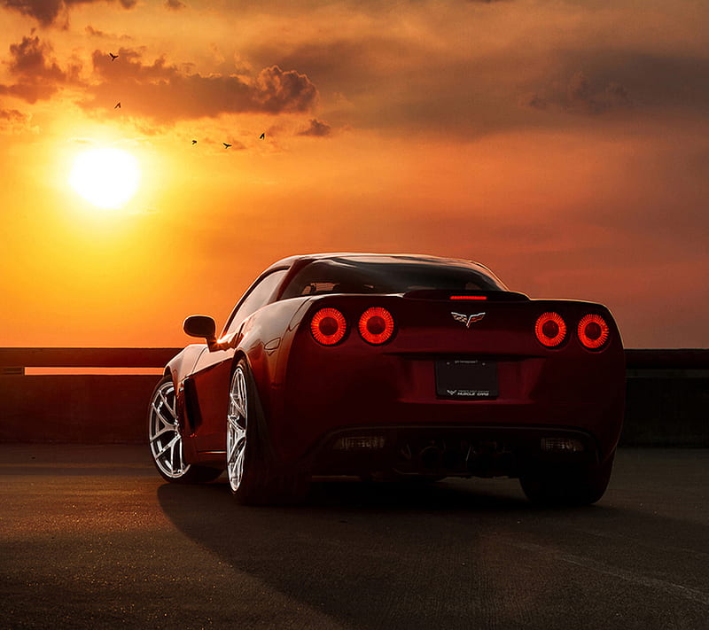 Red Corvette Z06, behind, car, corvette, nice, red, sun, sunset, veautiful, z06, HD wallpaper