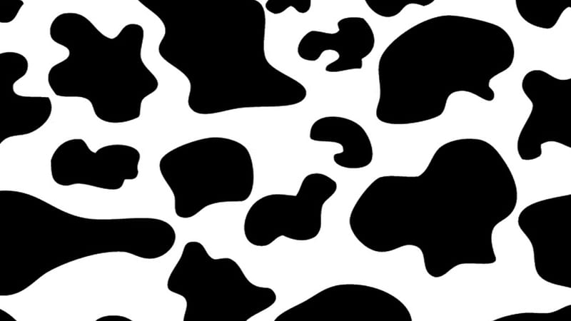 Estampado de vaca en blanco y negro estampado de 3 vacas, Fondo de pantalla  HD | Peakpx