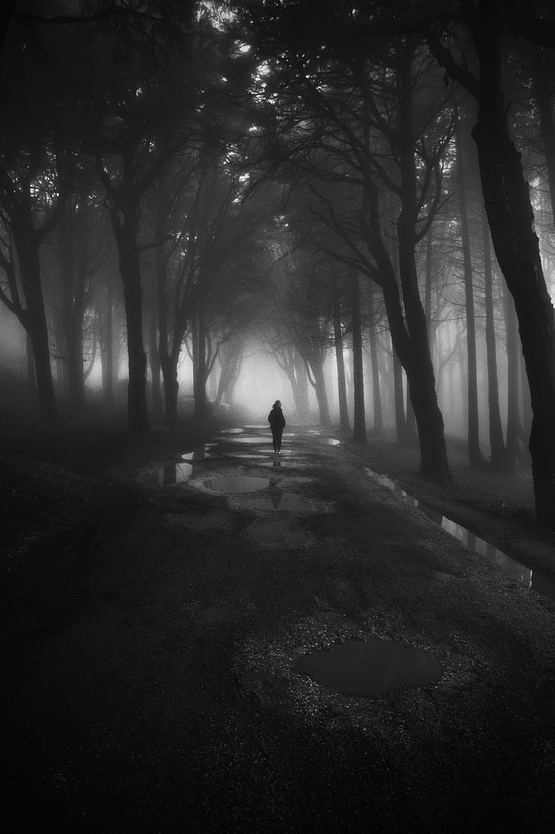 Greyscale graphy of Person Walking Between Trees, HD phone wallpaper