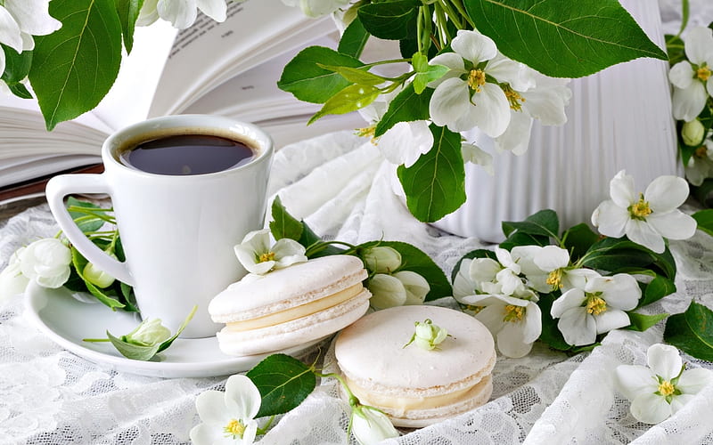 Coffee and Flowers, flowers, macaroons, white, coffee, HD wallpaper