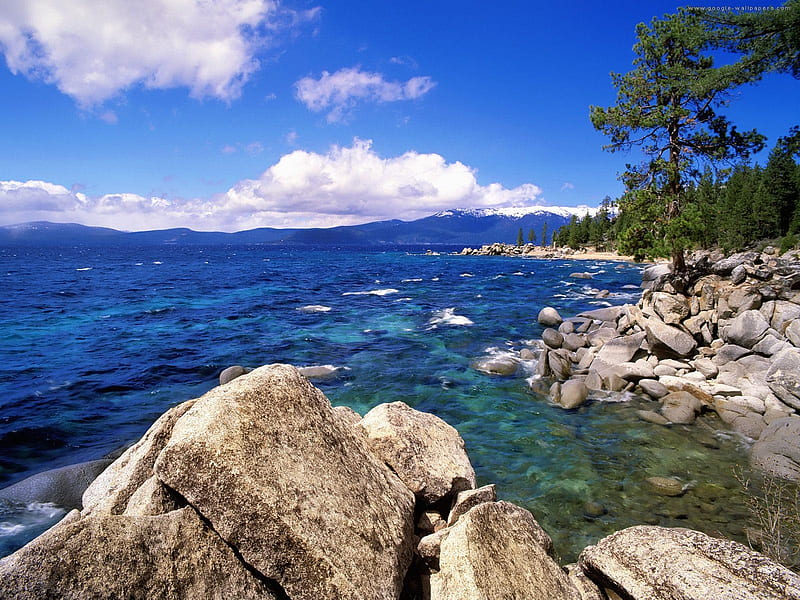 Azureo, blue sea, stones, azzuro, bonito, blue sky, waves, clouds, pinetree, HD wallpaper
