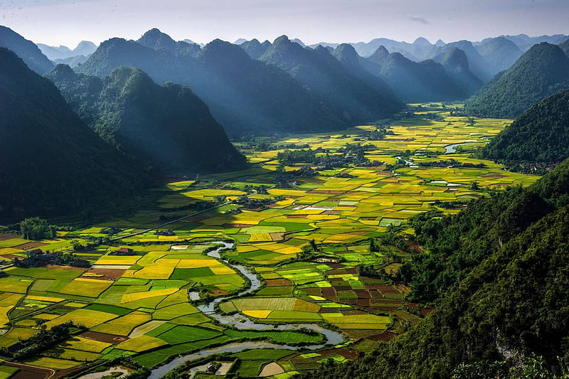 RICE PLOTS, VIETNAM, hills, green, landscapes, fields, trees, rivers, agriculture, HD wallpaper
