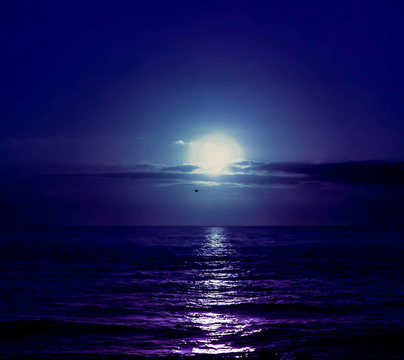 Moonlight, beach, blue, light, moon, motorcycle, night, ocean, tropical ...