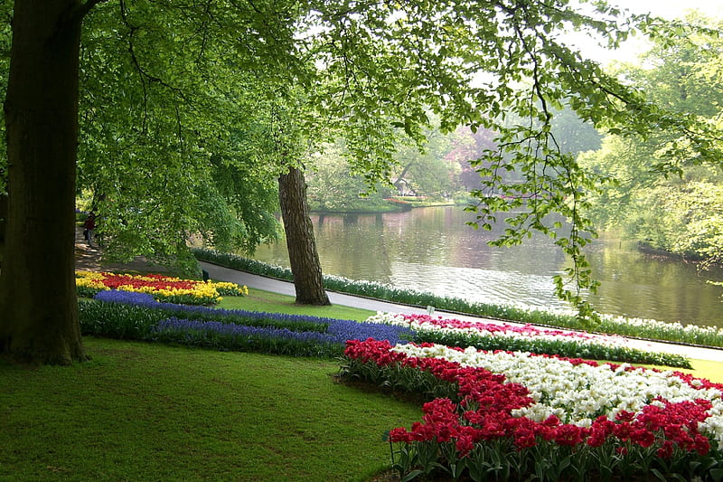 Keukenhof Garden, Netherlands, flowers, blossoms, river, spring, tulips, trees, HD wallpaper