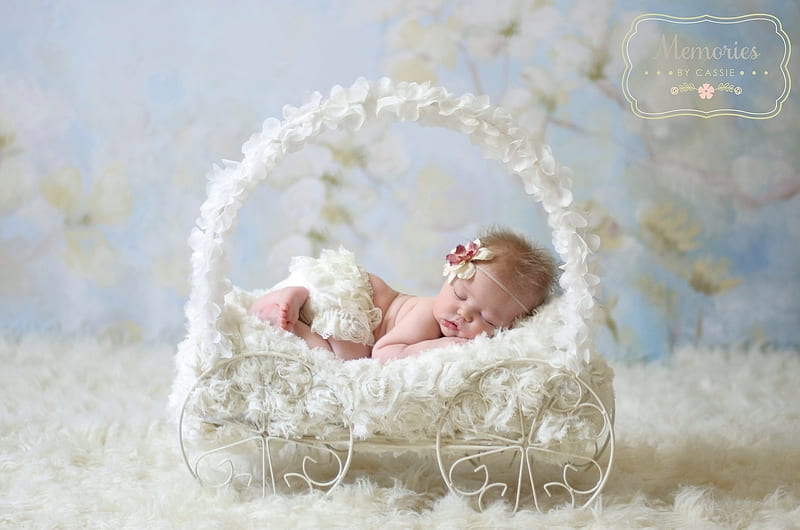 Baby little Girl, Fur, Baby, Sleep, Stroller, HD wallpaper