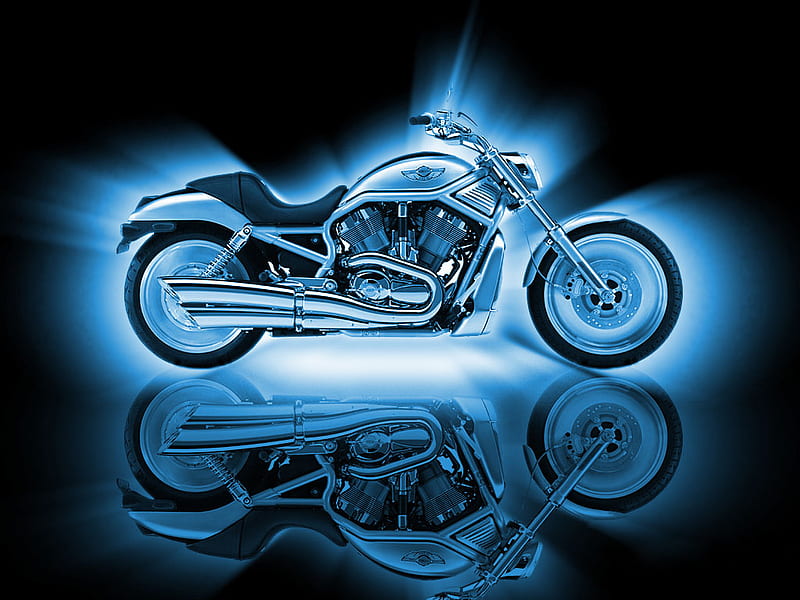 Harley davidson , motorcycles, neon, fast, ride, HD wallpaper | Peakpx