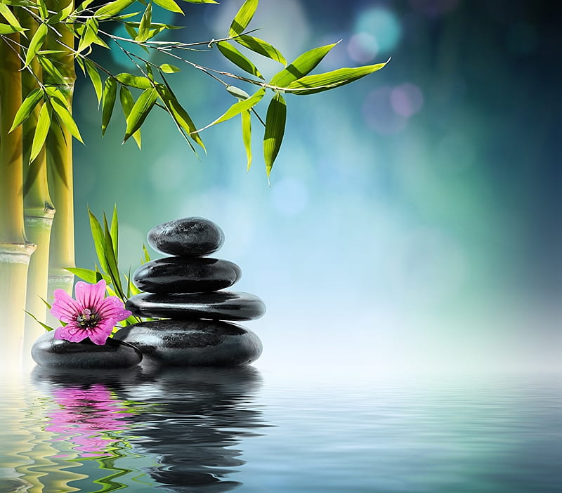 Stones and hibiscus, Water, Zen stones, Bamboo, Leaves, Hibiscus, HD wallpaper