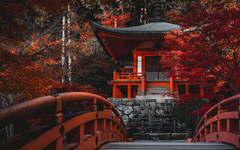 Daigo-ji Temple, Shingon Buddhist temple, japanese temple, autumn, red trees, Fushimi-ku, Kyoto, japan, HD wallpaper