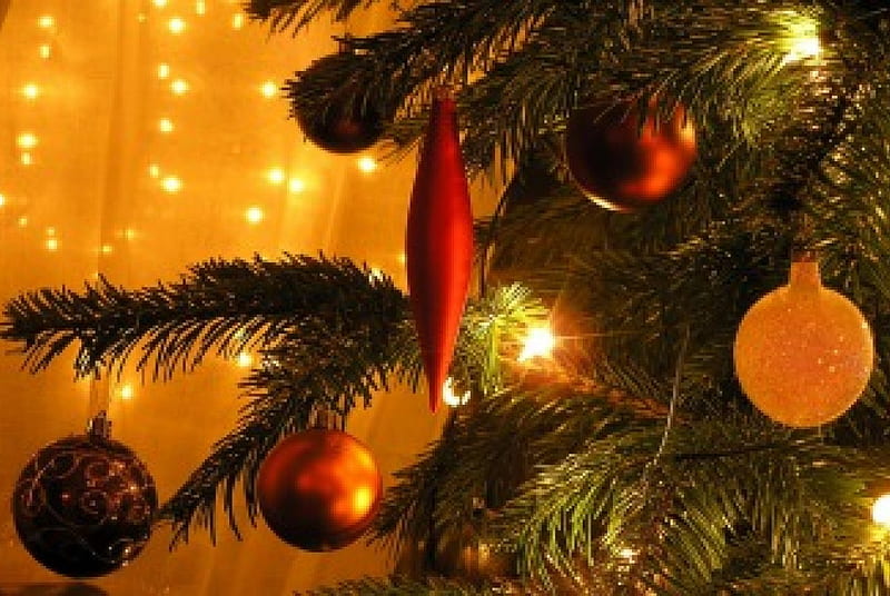 Lights of Christmas, christmas, balls, lights, pinetree, HD wallpaper