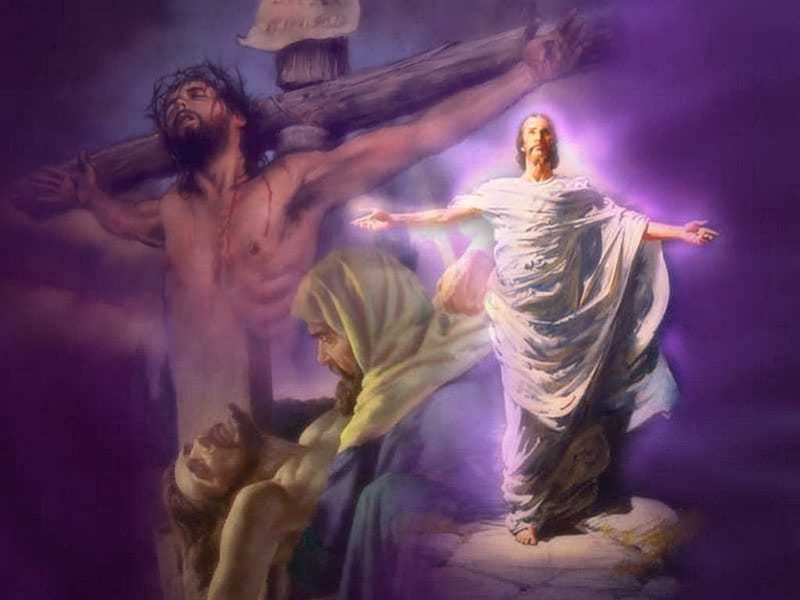 He Has Risen - Happy Easter To All, brown, black, king of all kings, Jesus, master, purple, savior, gris, God, ressurection, comforter, white, cross, pink, HD wallpaper
