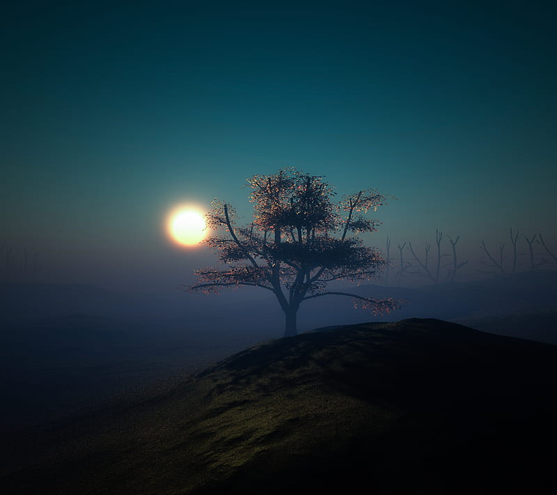 sunset tree, light, sun, HD wallpaper