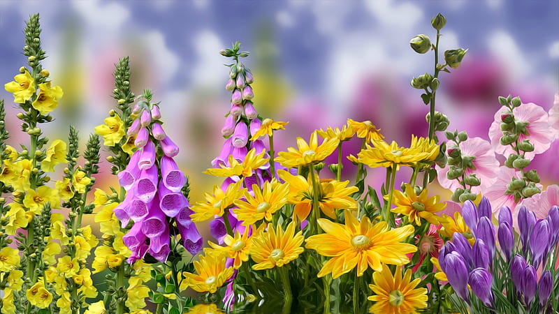 Spring Flowers, mallows, purple, foxglove, flowers, yellow, Spring, clouds, sky, HD wallpaper