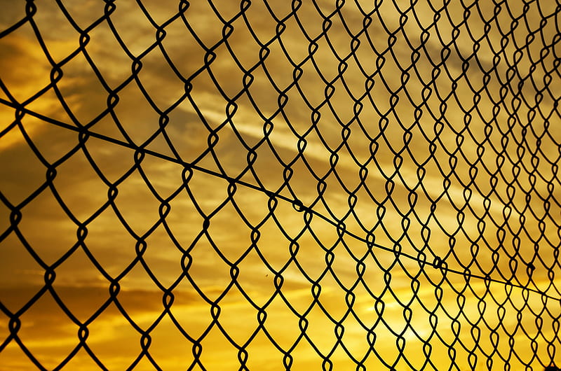 Fence Yellow Sky, fence, macro, sky, HD wallpaper