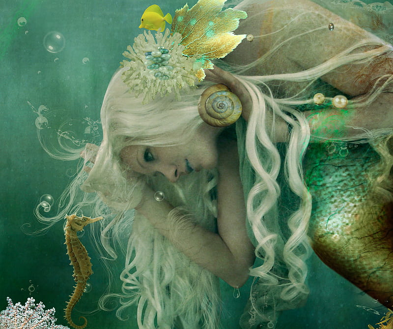 In Depth Conversatio, art, fantasy, fish, mermaid, sea shell, seahorse, HD wallpaper