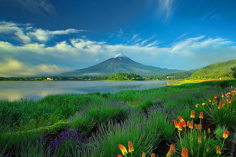 Mt Fuji and colorful flowers, pretty, colorful, shore, grass, bonito, Fuji, clouds, mountain, nice, flowers, lovely, view, sky, lake, meadow, field, landscape, HD wallpaper