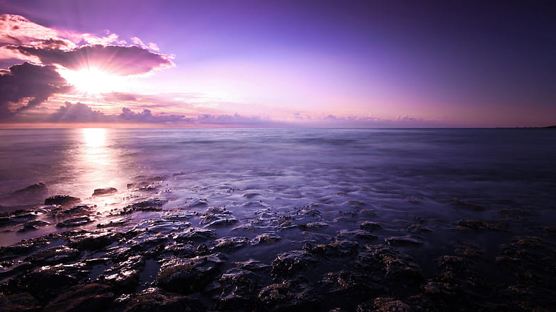 Purple Seascape With Sunrays Reflection Nature, HD wallpaper