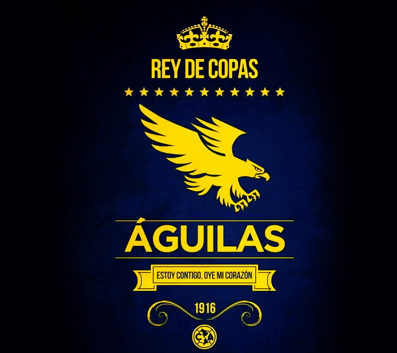 Rey de Copas, ca, club america, football, HD wallpaper