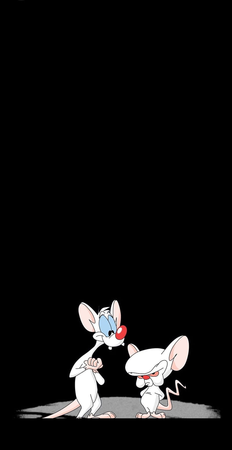 Pinky and the Brain, the brain, cartoon, cool, awesome, 90s, HD phone wallpaper