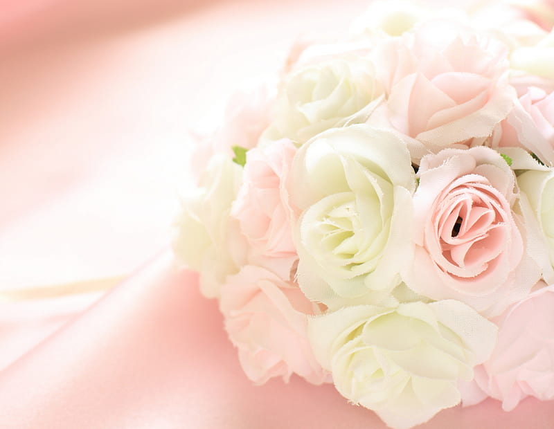 Hermosas flores, con amor, bonita, rosa, bonito, naturaleza muerta, grafía, rosa  blanca, Fondo de pantalla HD | Peakpx