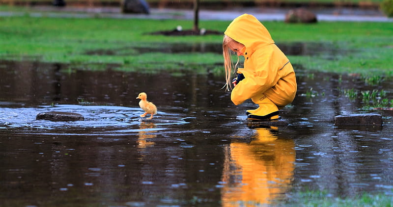 Little Girl Playing With Duckling, little-girl, child, duck, rain, cute, HD wallpaper