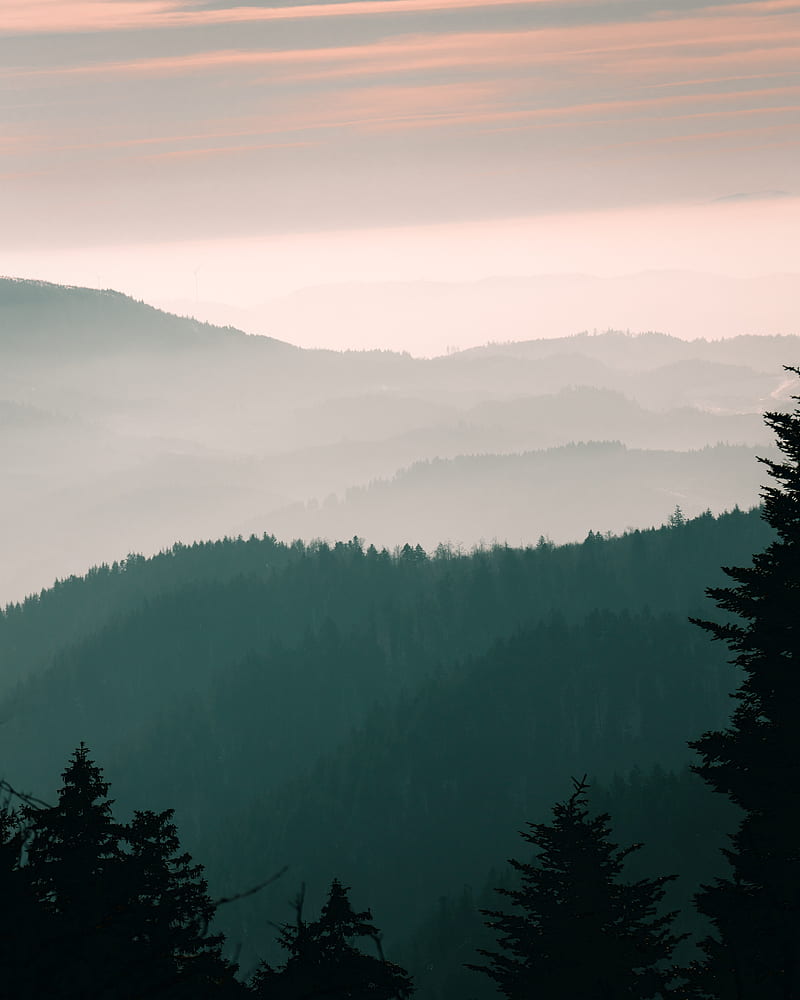 mountains, fog, sky, trees, dawn, HD phone wallpaper