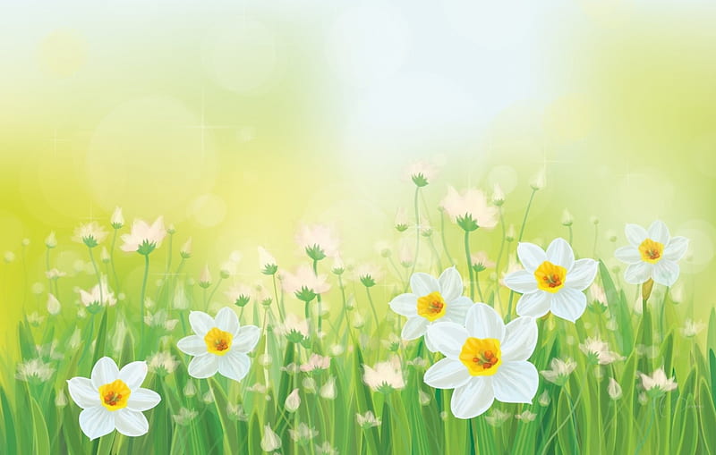 Pale Naarcissus, pale, narcissus, flowers, garden, spring, soft, field, Firefox Persona theme, HD wallpaper