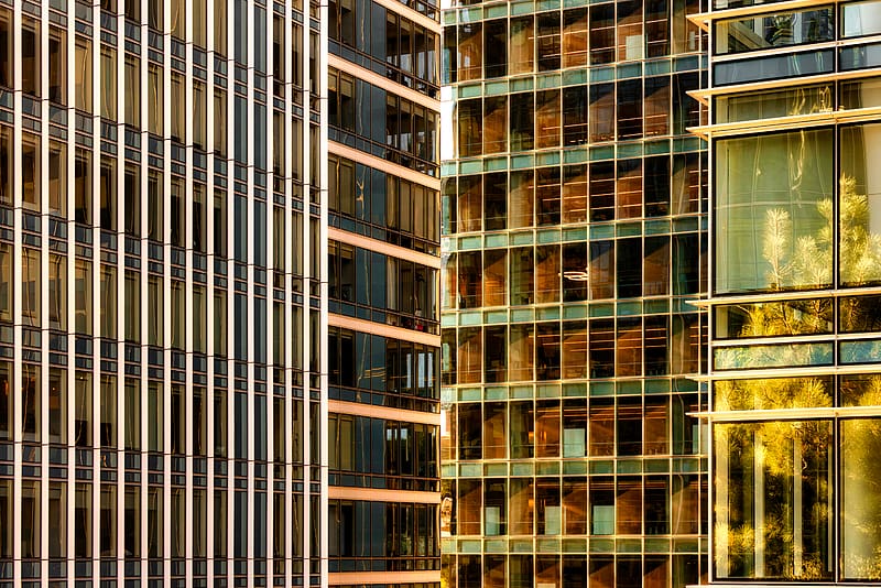buildings, windows, facades, glass, HD wallpaper
