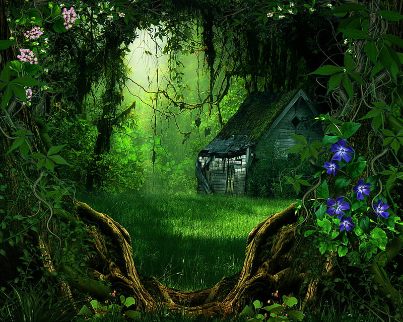 3d Forest, Trees, Forest, Flowers, Fantasy, House, HD wallpaper