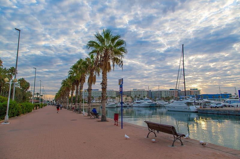 Alicante Spain, Nature, Clouds, Harbors, Palm Trees, Boats, Spain, Benches, HD wallpaper