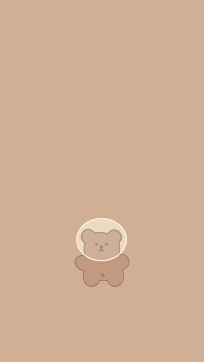 Kawaii Brown Bear  Novocomtop Cute Brown Bear HD phone wallpaper  Pxfuel