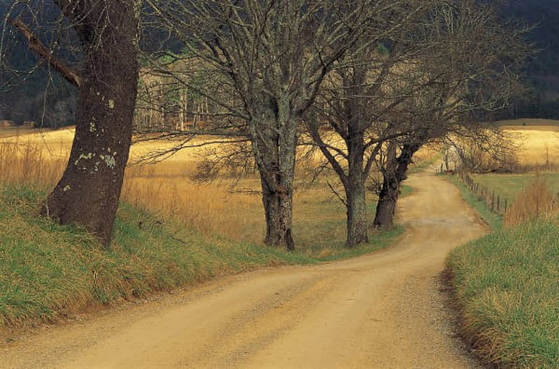 Take me home country road, rural, grass, dirt, fields, country, road, trees, HD wallpaper