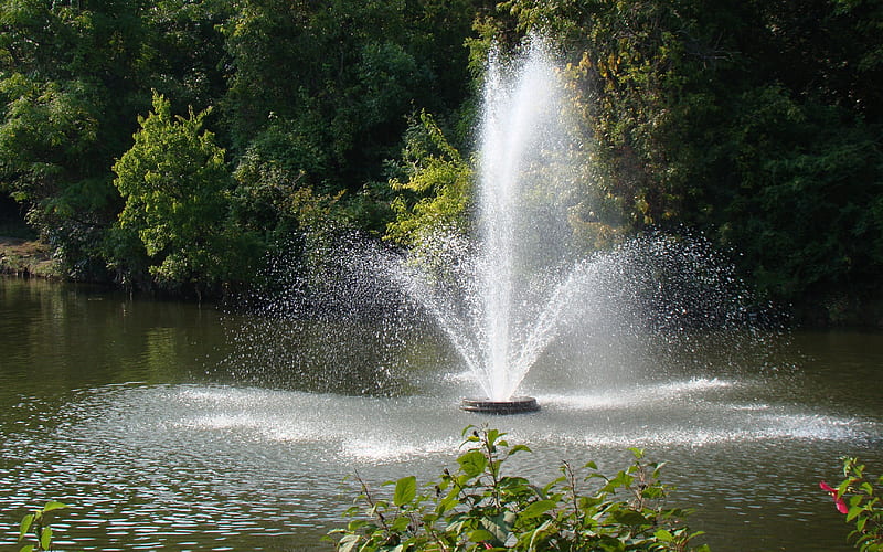 Fountain, nature, water, trees, HD wallpaper | Peakpx