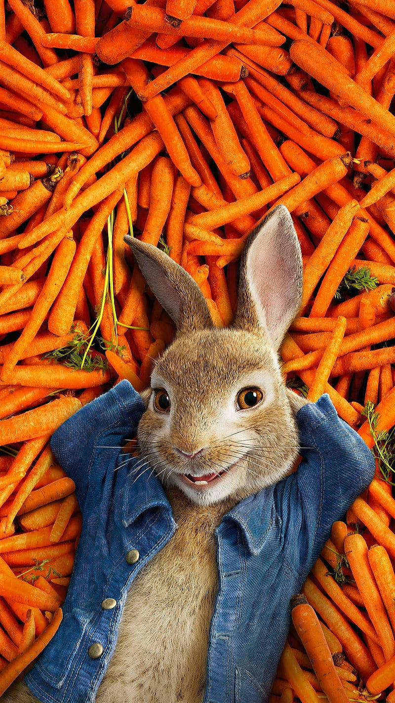 peter rabbit, animal, animation, bunny, carrot, jacket, jeans, movie, HD phone wallpaper