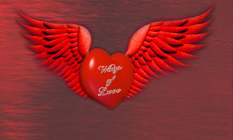 Wings of love, valentines, red, wings, heart, HD wallpaper | Peakpx