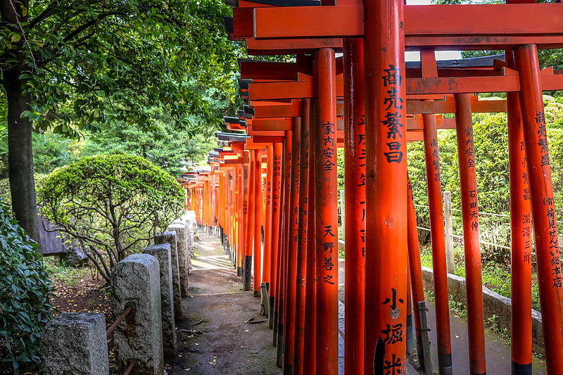 torii gates, japan, HD wallpaper